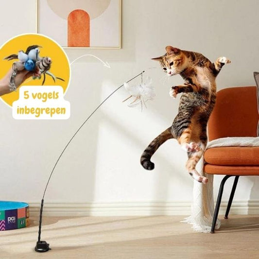 MeowFeather Toy - Interaktives Katzenspielzeug mit Federn [Letzter Tag Rabatt]
