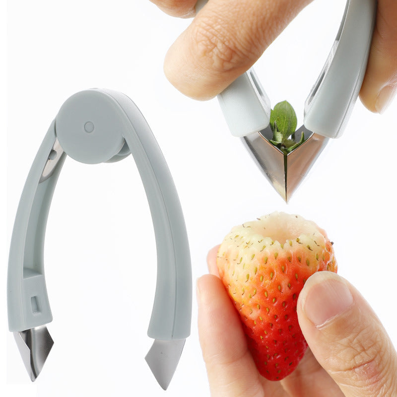 FruitTweezer - Multifunktionale Obstpinzette Samenentferner
