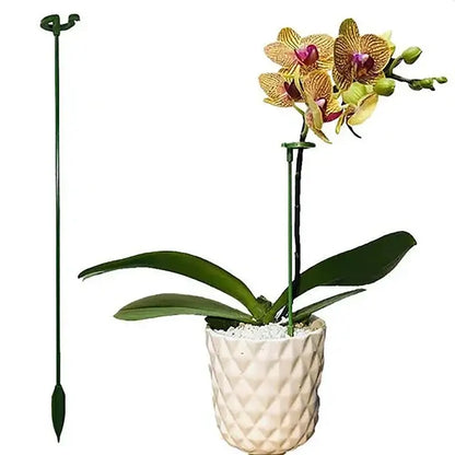 50% korting | PlantSupport - Von nun an immer gesunde und schöne Pflanzen!
