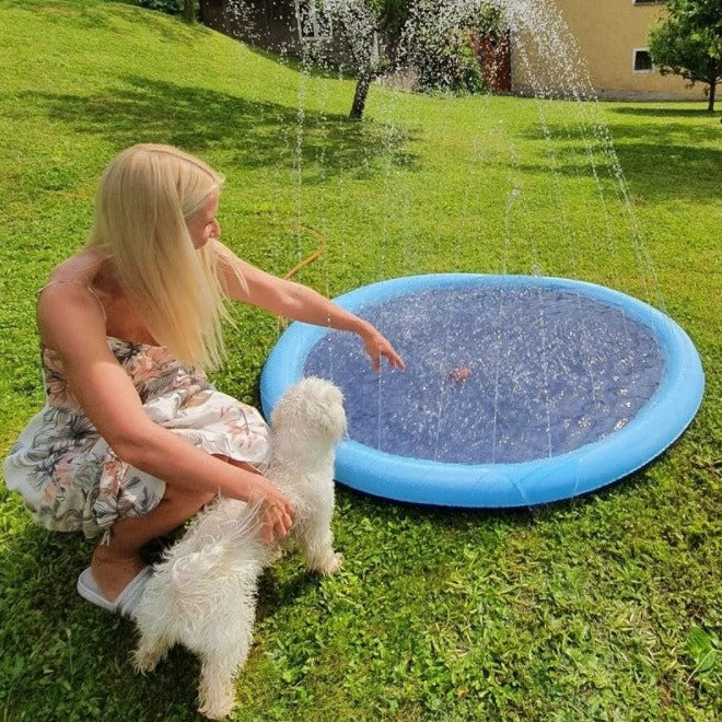 50% RABATT | DogBrunne™ - Halten Sie Ihren treuen Freund an heissen Sommertagen kühl!
