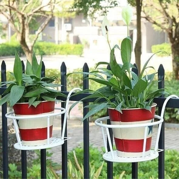 1+1 GRATIS | Flora - Hängende Blumenständer