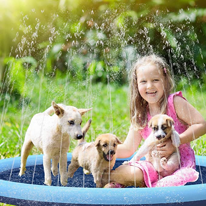 50% RABATT | DogBrunne™ - Halten Sie Ihren treuen Freund an heissen Sommertagen kühl!
