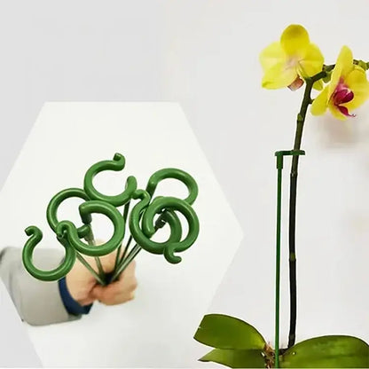 50% korting | PlantSupport - Von nun an immer gesunde und schöne Pflanzen!