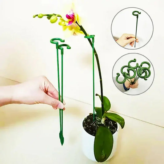 50% korting | PlantSupport - Von nun an immer gesunde und schöne Pflanzen!