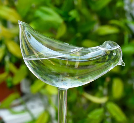 2+2 GRATIS | BirdGlass - Automatische Vogeltränke aus Glas [Letzter Tag Rabatt]