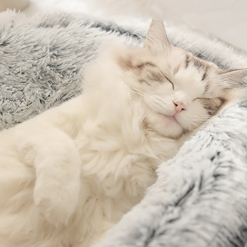 KittyCove™ - Schlafkorb für Ihre Katze [Letzter Tag Rabatt]