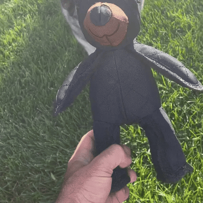 Tough Teddy
