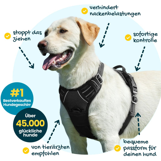 Lassie Pro | Virales Anti-Zieh-Hundegeschirr