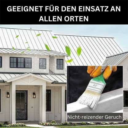 1+1 GRATIS | RustAway - Multifunktionales Entrostungs- und Konversionsmittel [Letzter Tag Rabatt]