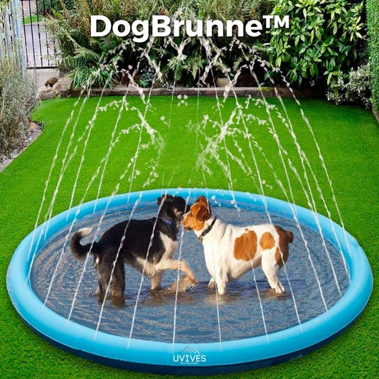 50% RABATT | DogBrunne™ - Halten Sie Ihren treuen Freund an heissen Sommertagen kühl!