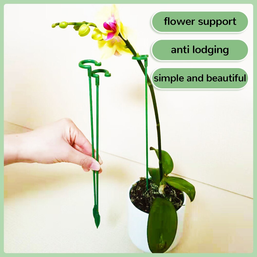 50% korting | PlantSupport - Von nun an immer gesunde und schöne Pflanzen!