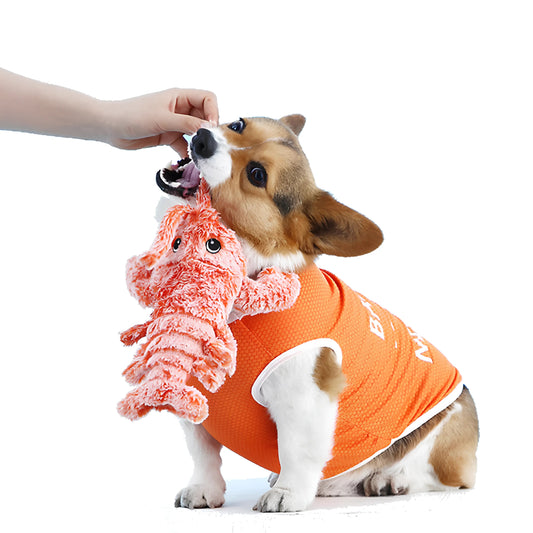 Zappelnder Hummer | Interaktives Hundespielzeug