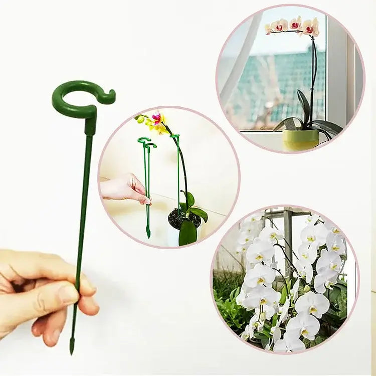 50% korting | PlantSupport - Von nun an immer gesunde und schöne Pflanzen!