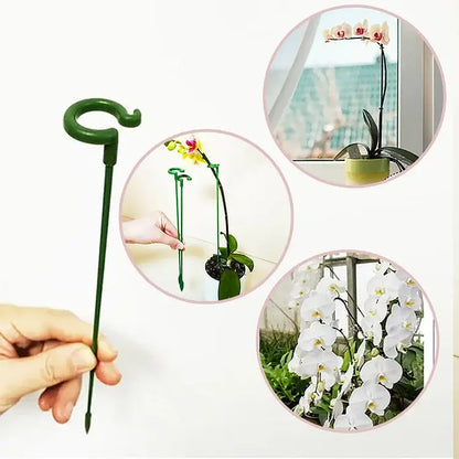 50% korting | PlantSupport - Von nun an immer gesunde und schöne Pflanzen!