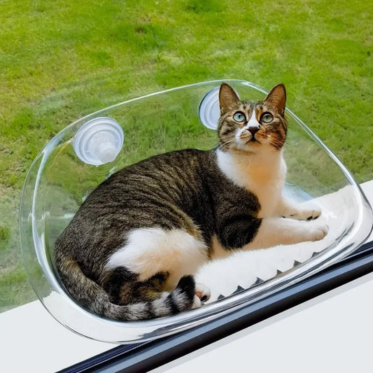 ViewNest - Ultimativer Komfort und Unterhaltung für Ihre Katze [Letzter Tag Rabatt]