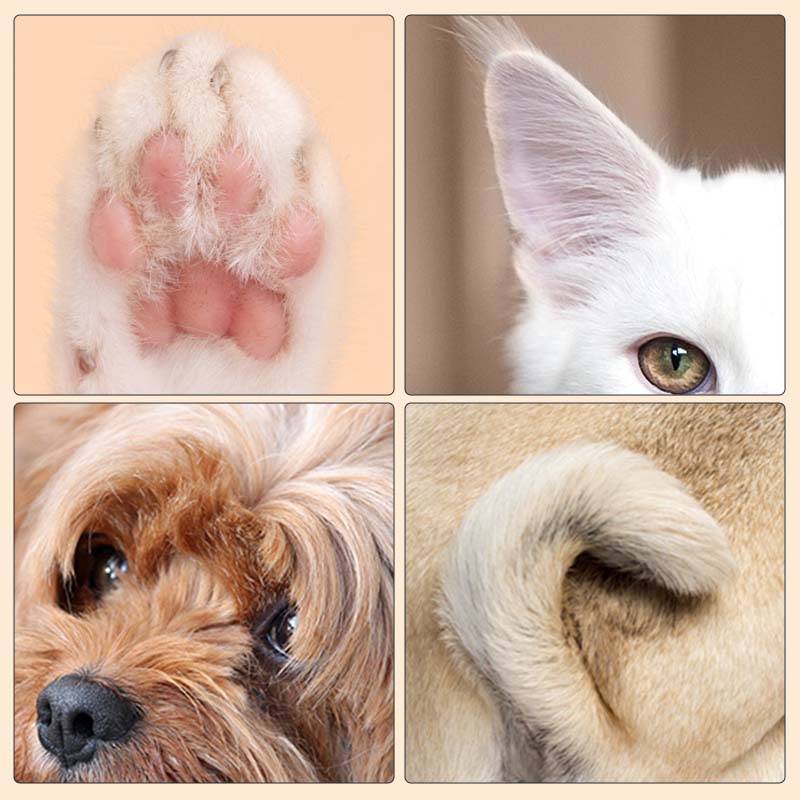 CleanPaws - LED Haustierhaarschneider Pro [Letzter Tag Rabatt]