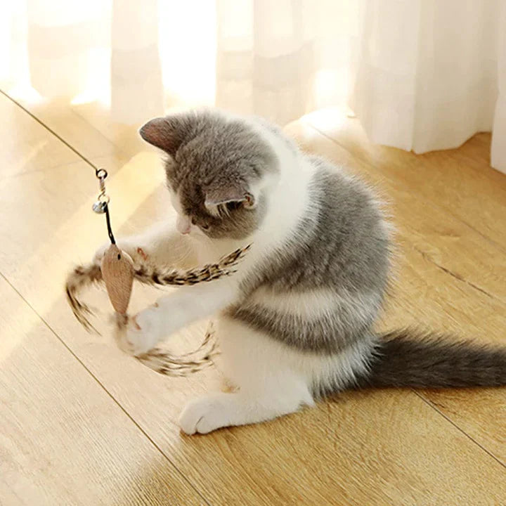 MeowFeather Toy - Interaktives Katzenspielzeug mit Federn [Letzter Tag Rabatt]