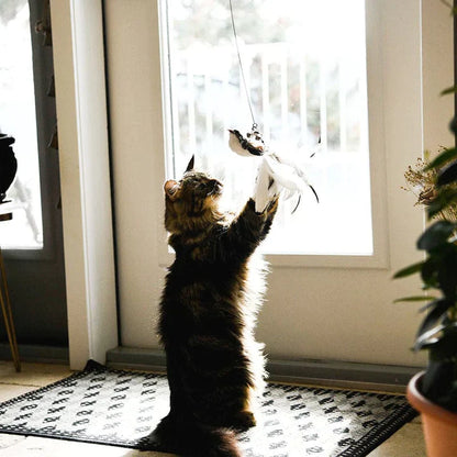 MeowFeather Toy - Interaktives Katzenspielzeug mit Federn [Letzter Tag Rabatt]