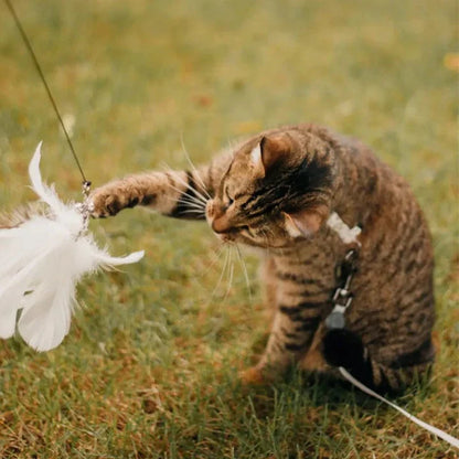 MeowFeather Toy - Interaktives Katzenspielzeug mit Federn [Letzter Tag Rabatt]
