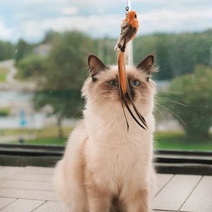 MeowFeather Toy - Interaktives Katzenspielzeug mit Federn [Letzter Tag Rabatt]