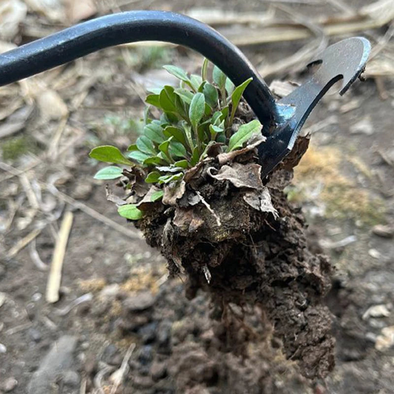 50% RABATT | WeedKiller - Handbuch Garten Unkrautstecher