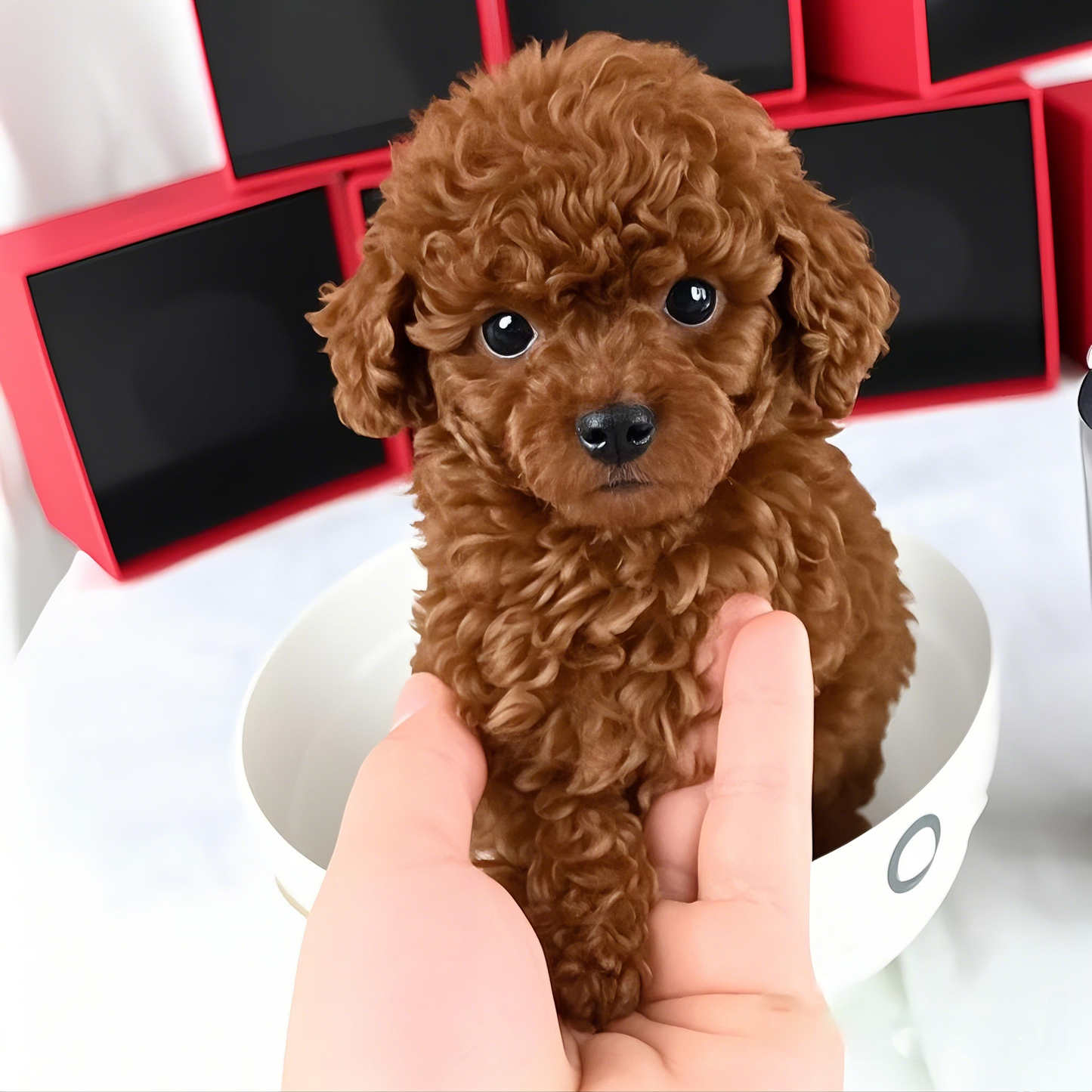 🐶 HerzPfötli™  | Ein ultra-realistischer Roboter Hund